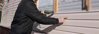 Best Vinyl Siding Installation  in Emerald Lake Hills, CA